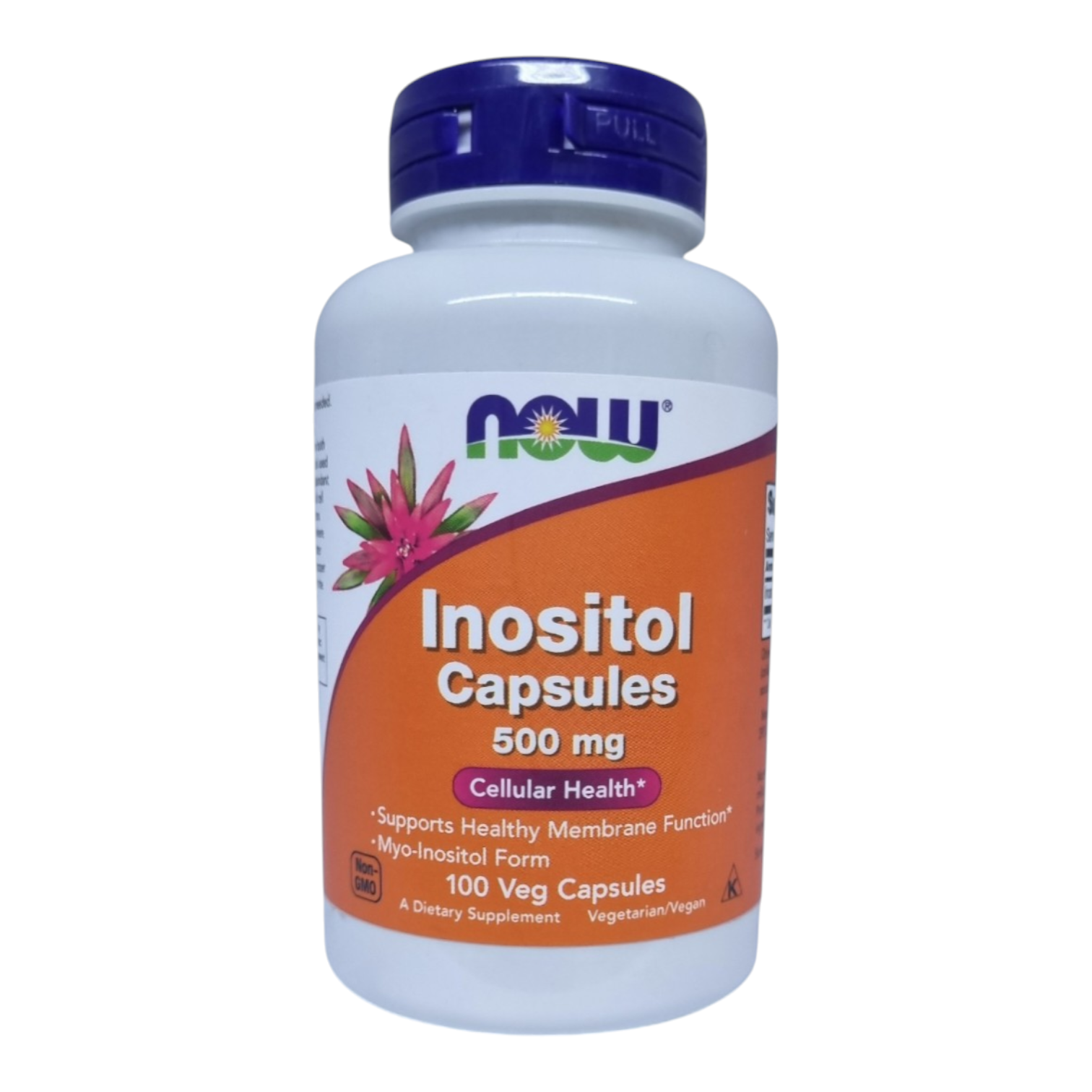Inositol 100 Capsules